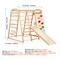 Indoor Jungle Gym Wooden Toddler Playground with Ladder Swing Slide and Climbing Wall